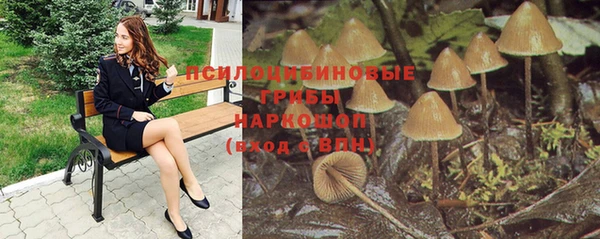 скорость Алзамай