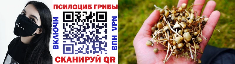 площадка официальный сайт  Оленегорск  Галлюциногенные грибы ЛСД 